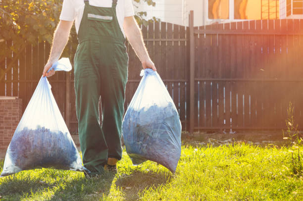 Best Electronics Removal Services  in Rockwell City, IA